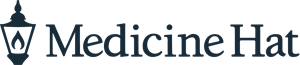 PerfectMind Logo